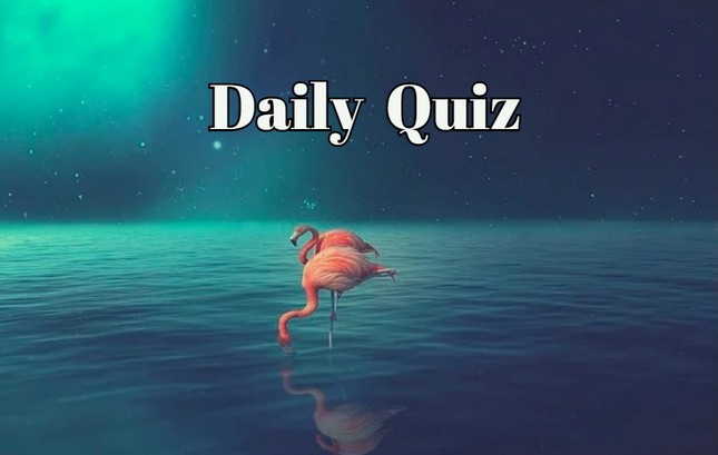 Daily Quiz: Earn Points, Prove Your Knowledge!