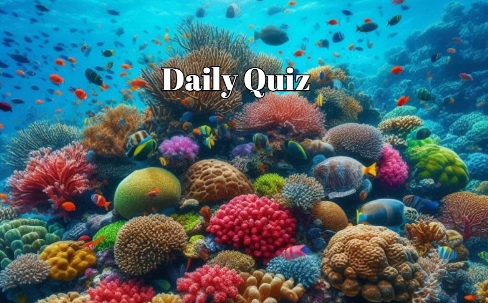 QUIZ ARENA: Only the Strongest Minds Survive!