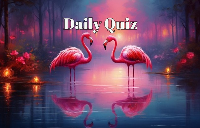 8 Questions. 8 Correct Answers. 1 Chance to Prove You're a Genius!