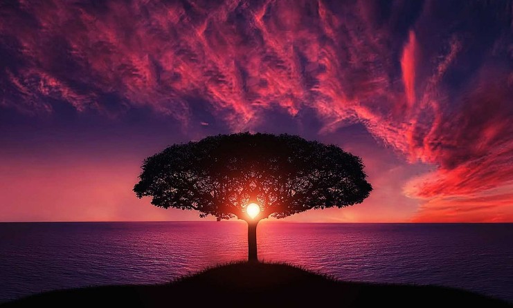 Daily Challenge: Only the Sharpest Minds Can Score Over 70% In This Quiz!