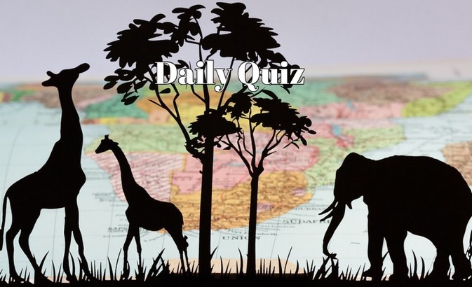 The Daily Quiz Everyone Is Talking About