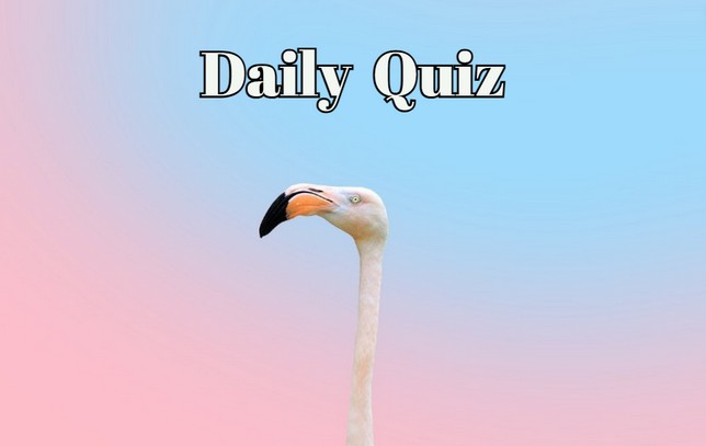Daily Quiz: Only Geniuses Score 8/8