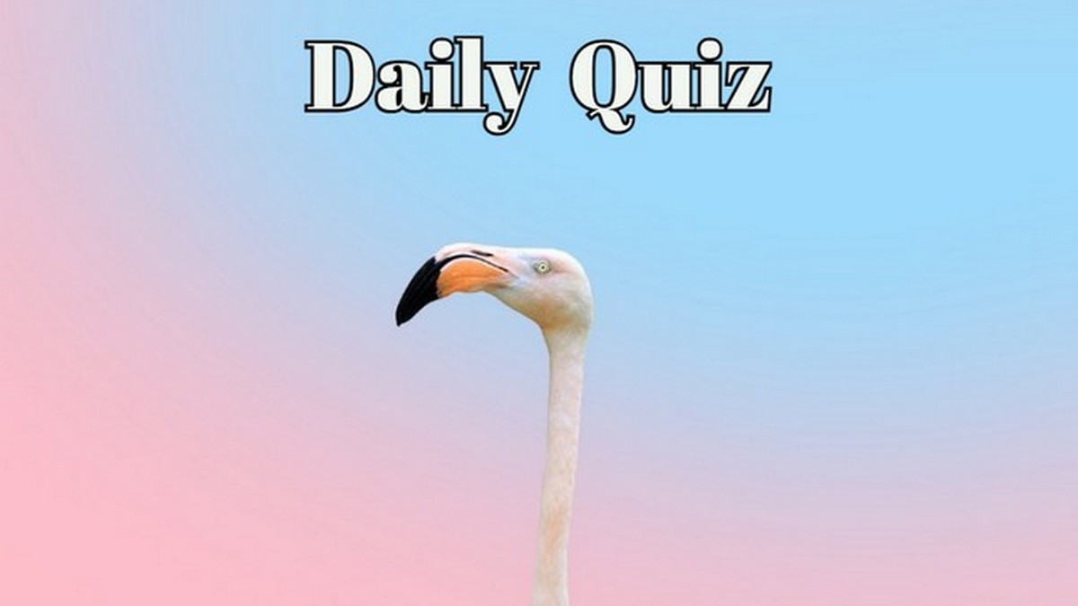 Play the Daily Brain Game