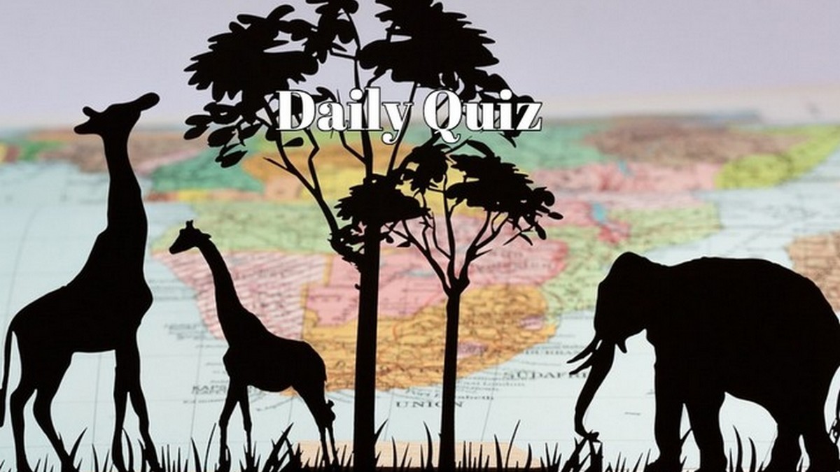 This Daily Quiz Is Breaking the Internet - Try It Yourself