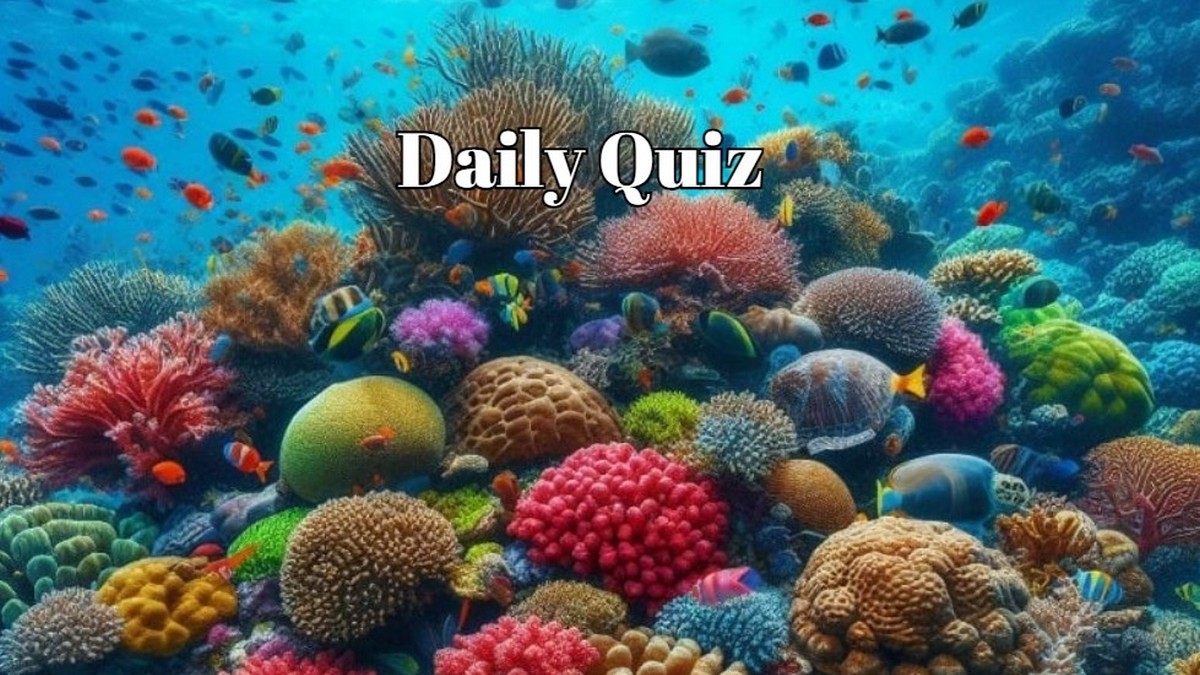 Warning: This Quiz Is Harder Than It Looks