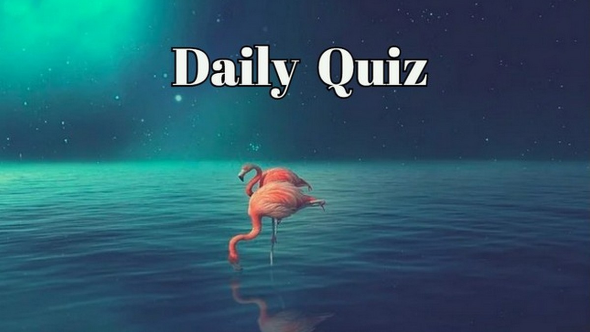 The Daily Quiz That Stumps Most People